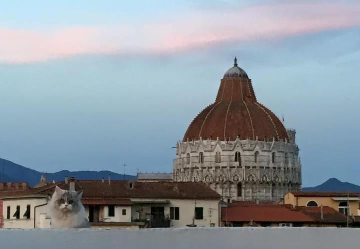 Alla Torre Con Vista Pisa Kamer foto